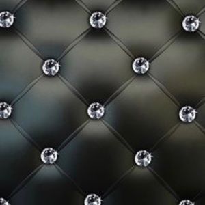 Meet your Posher, Destiny